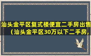 汕头金平区复式楼便宜二手房出售（汕头金平区30万以下二手房,铺面出租五八同）