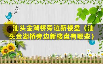 汕头金湖桥旁边新楼盘（汕头金湖桥旁边新楼盘有哪些）