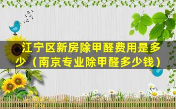 江宁区新房除甲醛费用是多少（南京专业除甲醛多少钱）