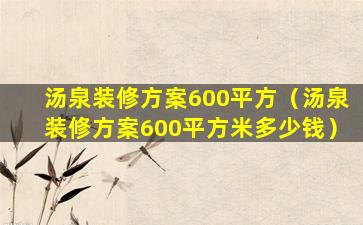 汤泉装修方案600平方（汤泉装修方案600平方米多少钱）