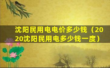 沈阳民用电电价多少钱（2020沈阳民用电多少钱一度）