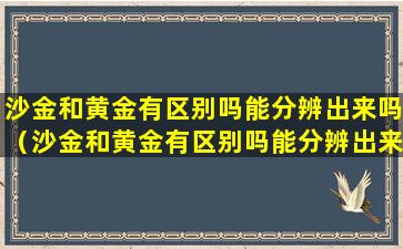 沙金和黄金有区别吗能分辨出来吗（沙金和黄金有区别吗能分辨出来吗视频）