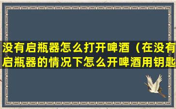 没有启瓶器怎么打开啤酒（在没有启瓶器的情况下怎么开啤酒用钥匙）