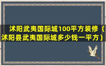 沭阳武夷国际城100平方装修（沭阳县武夷国际城多少钱一平方）