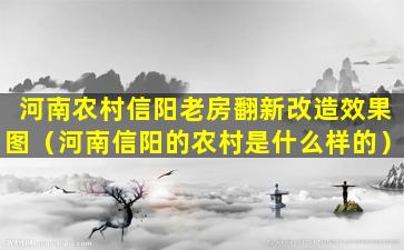 河南农村信阳老房翻新改造效果图（河南信阳的农村是什么样的）