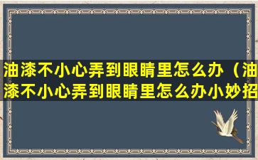 油漆不小心弄到眼睛里怎么办（油漆不小心弄到眼睛里怎么办小妙招）