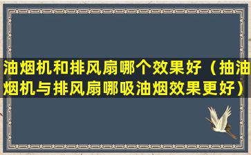 油烟机和排风扇哪个效果好（抽油烟机与排风扇哪吸油烟效果更好）