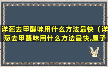 洋葱去甲醛味用什么方法最快（洋葱去甲醛味用什么方法最快,屋子装修完地板怎么去味）