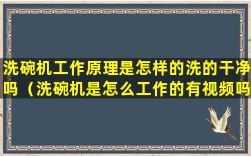 洗碗机工作原理是怎样的洗的干净吗（洗碗机是怎么工作的有视频吗）