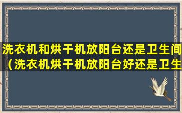 洗衣机和烘干机放阳台还是卫生间（洗衣机烘干机放阳台好还是卫生间好）