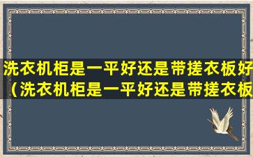 洗衣机柜是一平好还是带搓衣板好（洗衣机柜是一平好还是带搓衣板好用）