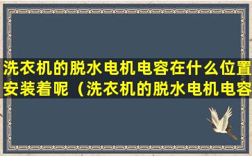 洗衣机的脱水电机电容在什么位置安装着呢（洗衣机的脱水电机电容在什么位置安装着呢视频）