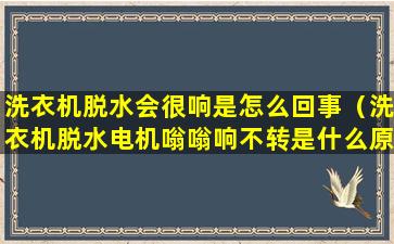 洗衣机脱水会很响是怎么回事（洗衣机脱水电机嗡嗡响不转是什么原因）