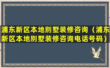 浦东新区本地别墅装修咨询（浦东新区本地别墅装修咨询电话号码）