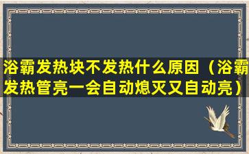 浴霸发热块不发热什么原因（浴霸发热管亮一会自动熄灭又自动亮）