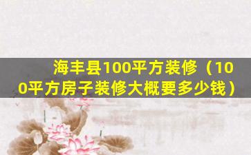 海丰县100平方装修（100平方房子装修大概要多少钱）