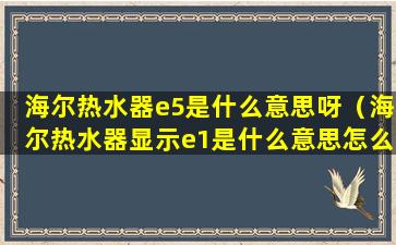 海尔热水器e5是什么意思呀（海尔热水器显示e1是什么意思怎么处理）