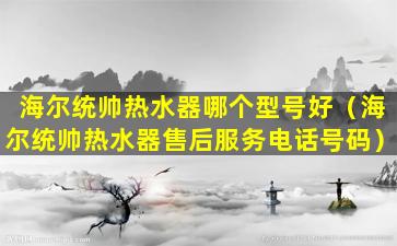 海尔统帅热水器哪个型号好（海尔统帅热水器售后服务电话号码）