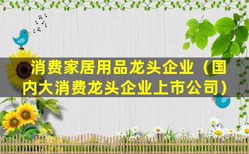 消费家居用品龙头企业（国内大消费龙头企业上市公司）