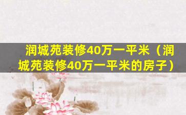 润城苑装修40万一平米（润城苑装修40万一平米的房子）