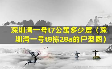 深圳湾一号t7公寓多少层（深圳湾一号t8栋28a的户型图）