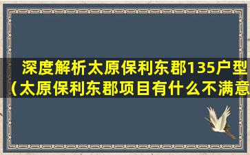 深度解析太原保利东郡135户型（太原保利东郡项目有什么不满意的地方）