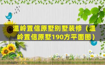 温岭置信原墅别墅装修（温岭置信原墅190方平面图）