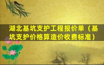 湖北基坑支护工程报价单（基坑支护价格算造价收费标准）