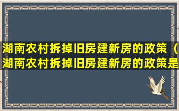 湖南农村拆掉旧房建新房的政策（湖南农村拆掉旧房建新房的政策是什么）