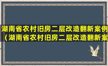 湖南省农村旧房二层改造翻新案例（湖南省农村旧房二层改造翻新案例分析）