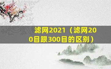 滤网2021（滤网200目跟300目的区别）