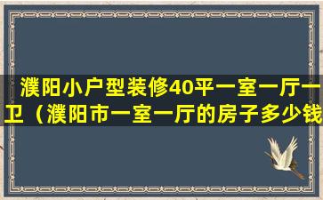 濮阳小户型装修40平一室一厅一卫（濮阳市一室一厅的房子多少钱）