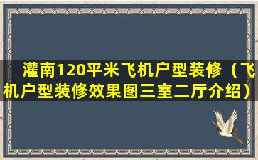 灌南120平米飞机户型装修（飞机户型装修效果图三室二厅介绍）