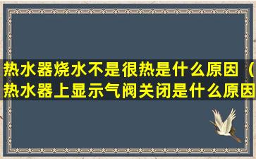 热水器烧水不是很热是什么原因（热水器上显示气阀关闭是什么原因）