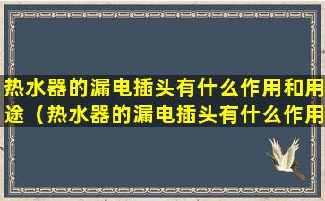 热水器的漏电插头有什么作用和用途（热水器的漏电插头有什么作用和用途视频）