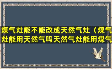 煤气灶能不能改成天然气灶（煤气灶能用天然气吗天然气灶能用煤气吗）