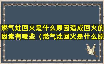 燃气灶回火是什么原因造成回火的因素有哪些（燃气灶回火是什么原因造成回火的因素有哪些方面）