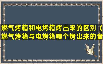 燃气烤箱和电烤箱烤出来的区别（燃气烤箱与电烤箱哪个烤出来的食品味道好点）