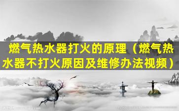 燃气热水器打火的原理（燃气热水器不打火原因及维修办法视频）