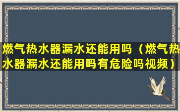 燃气热水器漏水还能用吗（燃气热水器漏水还能用吗有危险吗视频）