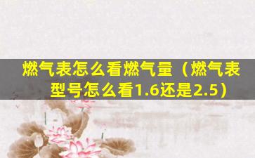 燃气表怎么看燃气量（燃气表型号怎么看1.6还是2.5）