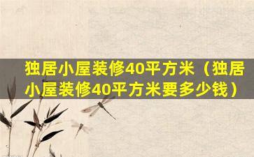 独居小屋装修40平方米（独居小屋装修40平方米要多少钱）