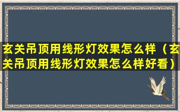 玄关吊顶用线形灯效果怎么样（玄关吊顶用线形灯效果怎么样好看）