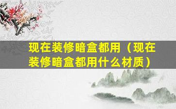 现在装修暗盒都用（现在装修暗盒都用什么材质）