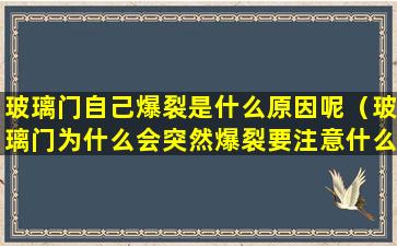 玻璃门自己爆裂是什么原因呢（玻璃门为什么会突然爆裂要注意什么）