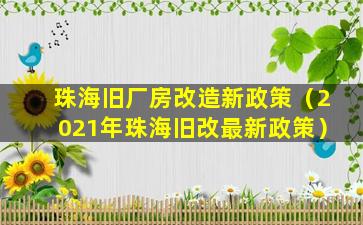 珠海旧厂房改造新政策（2021年珠海旧改最新政策）