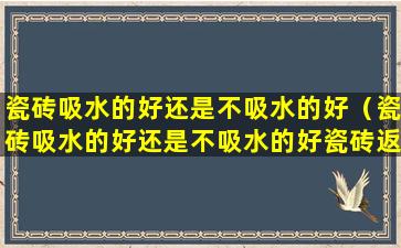 瓷砖吸水的好还是不吸水的好（瓷砖吸水的好还是不吸水的好瓷砖返潮是质量问题吗）