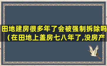 田地建房很多年了会被强制拆除吗（在田地上盖房七八年了,没房产证,如果要拆有赔常吗）