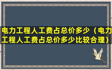 电力工程人工费占总价多少（电力工程人工费占总价多少比较合理）