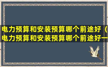 电力预算和安装预算哪个前途好（电力预算和安装预算哪个前途好一点）